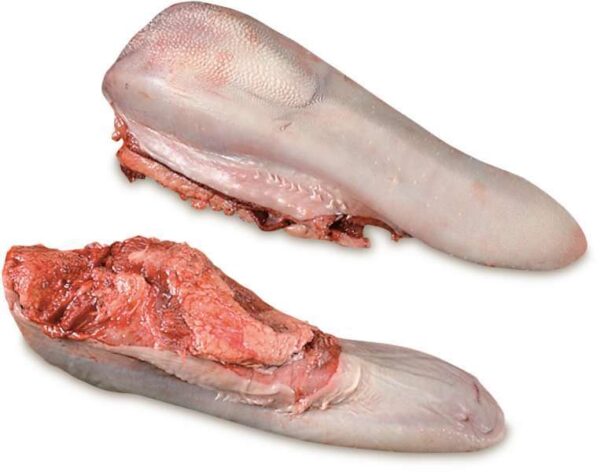 Frozen Pork | Frozen Beef Tongue