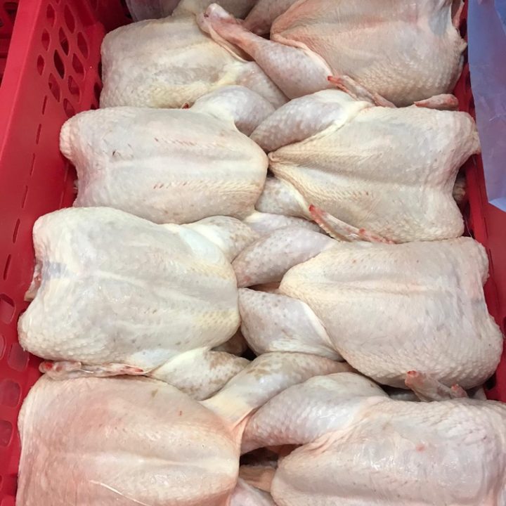 frozen chicken for sale